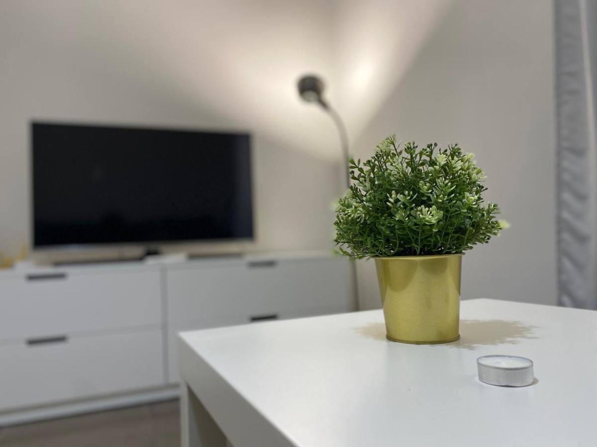 Premium Apartment City Center カリアリ エクステリア 写真